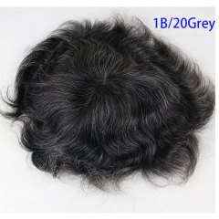 1BMixed20%grey hair