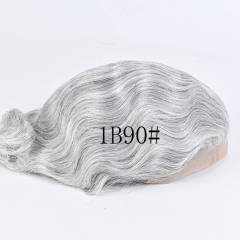 1B Mixed 90% Grey Hair