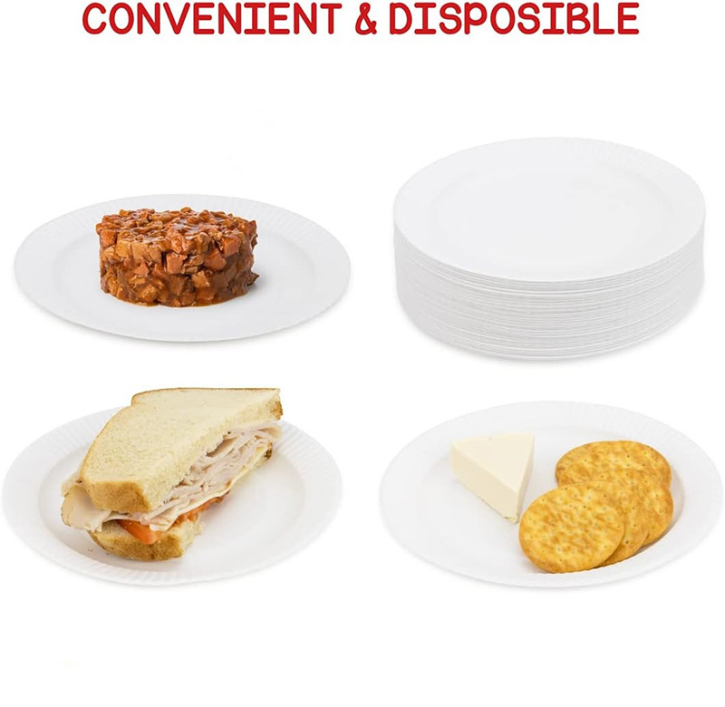White Disposable Paper Plates Natural Biodegradable Eco-Friendly