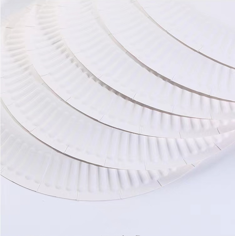 White Disposable Paper Plates Natural Biodegradable Eco-Friendly