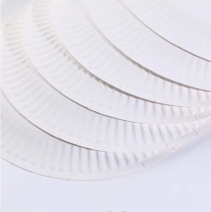 White Disposable Paper Plates Natural Biodegradable Eco-Friendly