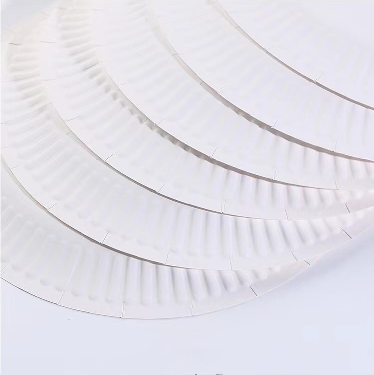 White Disposable Paper Plates Natural Biodegradable Eco-Friendly