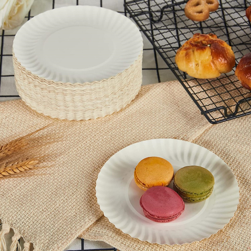 Paper Plates Everyday Disposable Plates Light Weight White Round Dinner Large Paper Plates Lunch for Home and Office
