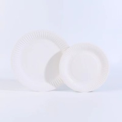 Paper Plates Everyday Disposable Plates Light Weight White Round Dinner Large Paper Plates Lunch for Home and Office