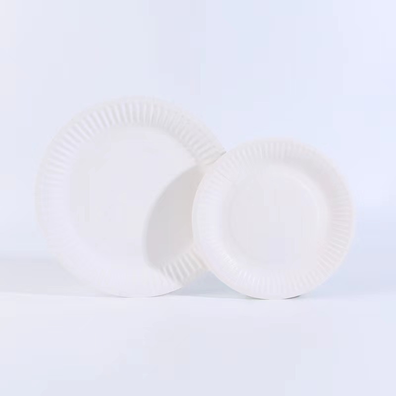Paper Plates Everyday Disposable Plates Light Weight White Round Dinner Large Paper Plates Lunch for Home and Office