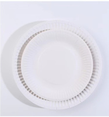 Paper Plates Everyday Disposable Plates Light Weight White Round Dinner Large Paper Plates Lunch for Home and Office