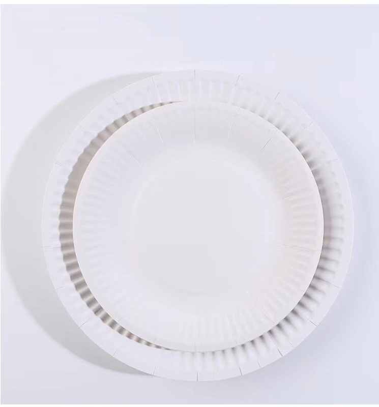 Paper Plates Everyday Disposable Plates Light Weight White Round Dinner Large Paper Plates Lunch for Home and Office