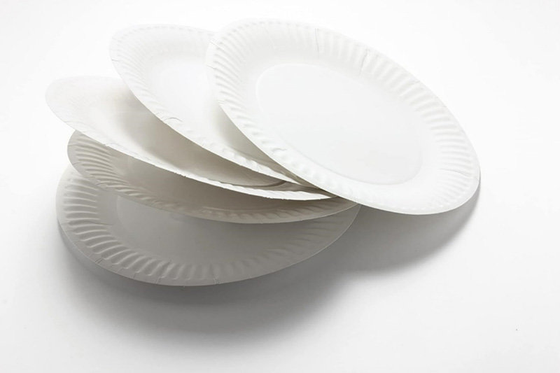 Paper Plates Everyday Disposable Plates Light Weight White Round Dinner Large Paper Plates Lunch for Home and Office