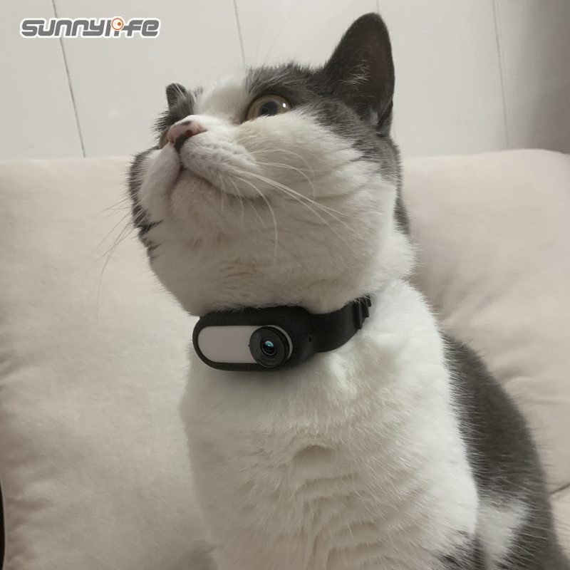 Sunnylife Camera Strap Silicone Protective Cover Wristband Palm Backpack Stripe Bicycle Strap Cat Collar for Insta360 GO 2