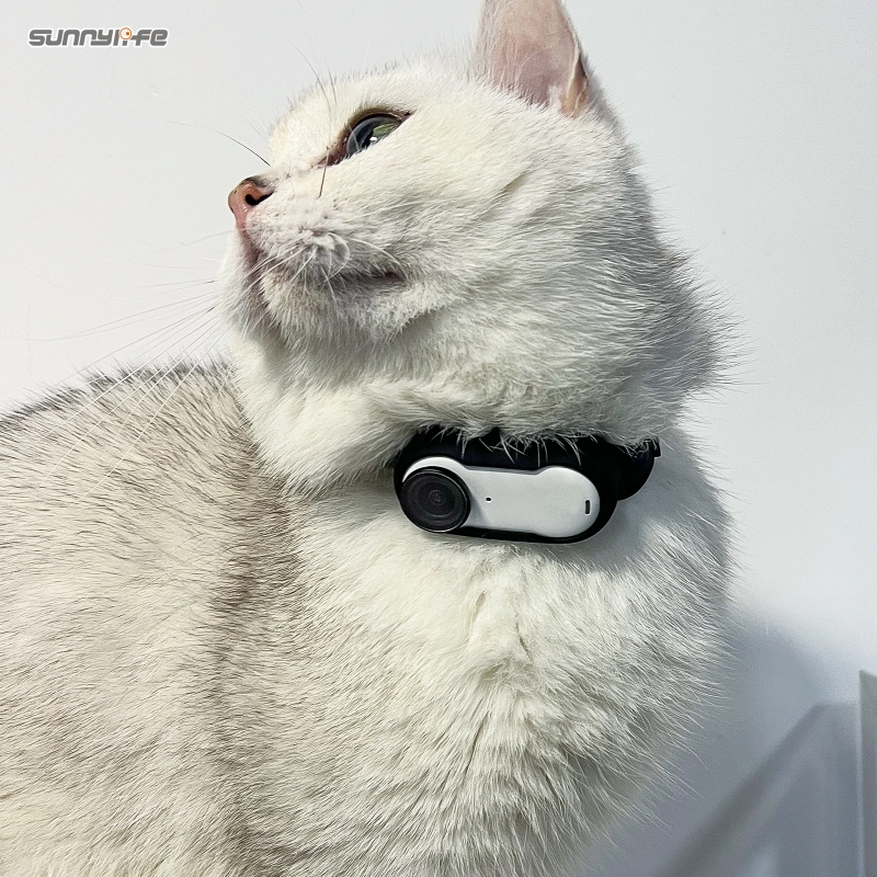 Broadcast Brokers Red Ranger Helium 8k S35 Insta360 Go Gopro