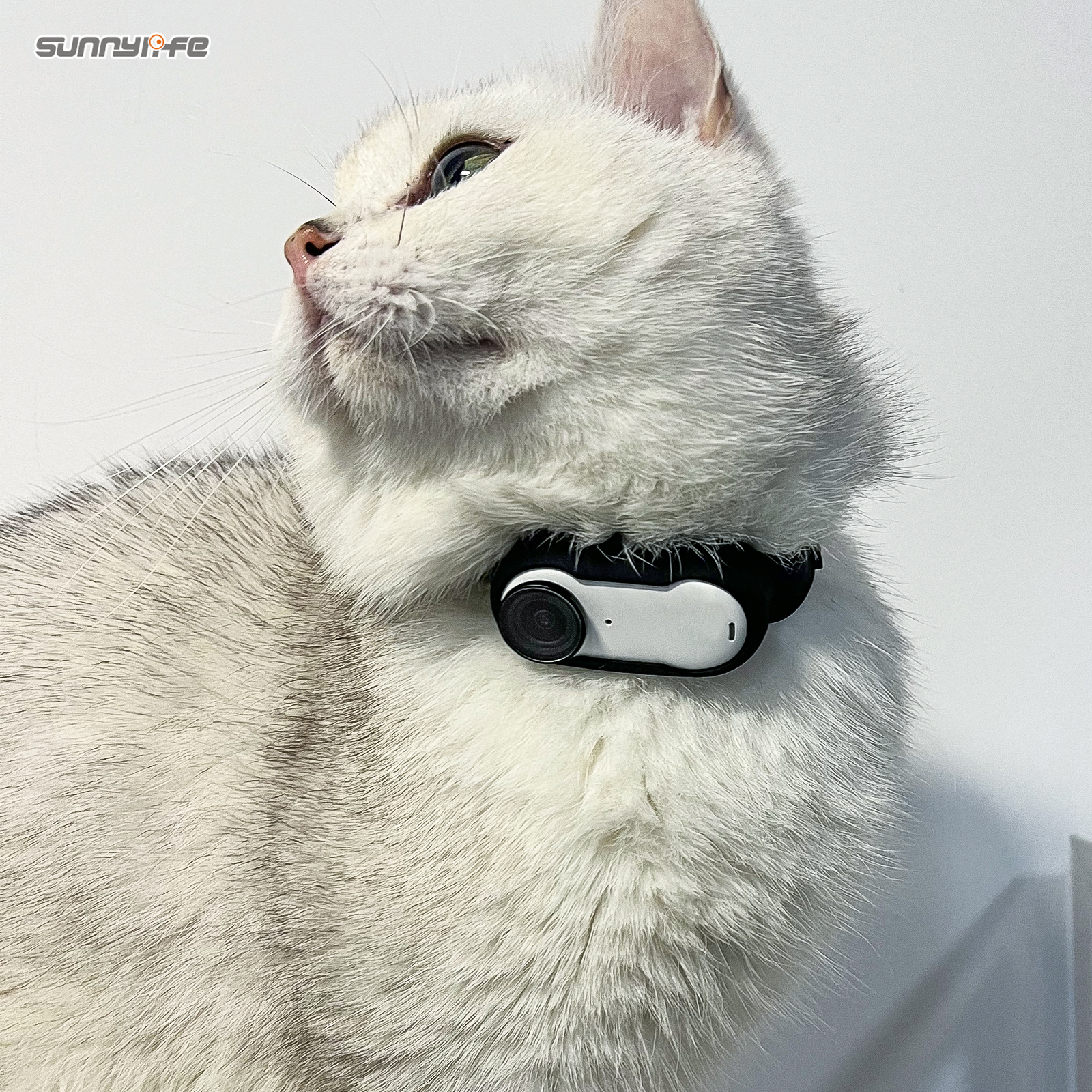 Sunnylife Camera Strap Silicone Protective Cover Drone Mount Wristband Backpack Stripe Bicycle Strap Cat Collar for Insta360 GO 3