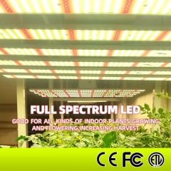 LED full spectrum grow light led plant light WIN-ZRG4X100T-DND