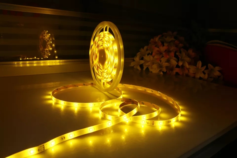 Manufacturer Wholesale 2835 LED strip lights CL-2835-60-8MM white/warm white/red/blue/green