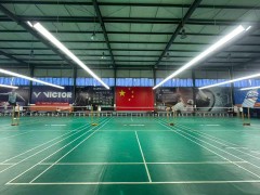 BD-005 Suspended Honeycomb Anti-Glare LED Badminton Court Light