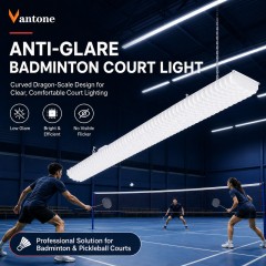 BD-003 Dragon-Scale Anti-Glare LED Badminton Court Light