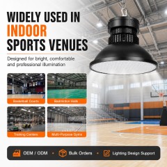 BD-006 Honeycomb Anti-Glare LED Sports High Bay Light
