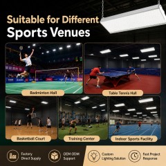 BD-002 Honeycomb Anti-Glare LED Badminton Court Light