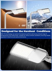 STL-002 IP65 LED Street Light 30W-200W