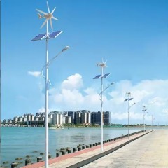 DL-YT-S Wind Solar Hybrid Street Light Pole System