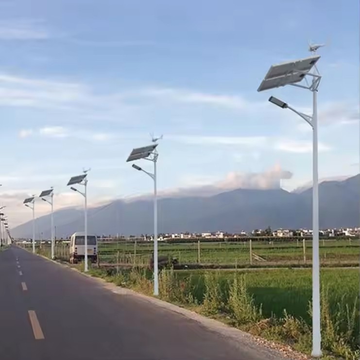DL-YT-S Wind Solar Hybrid Street Light Pole System