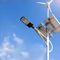 DL-YT-S Wind Solar Hybrid Street Light Pole System