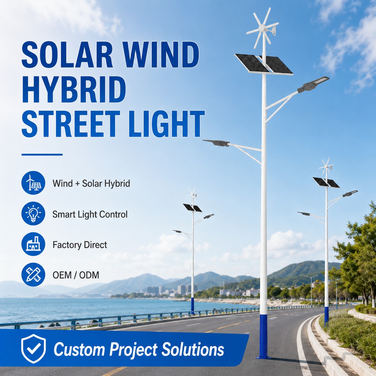 DL-YT-V Wind Solar Hybrid Street Light