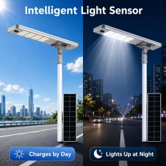 DL-YT-Y Engineering All-in-One Solar Street Light 50W-250W