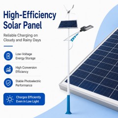 DL-YT-X Hybrid Wind Solar Street Light