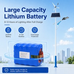 DL-YT-X Hybrid Wind Solar Street Light
