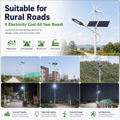 DL-YT-V Wind Solar Hybrid Street Light