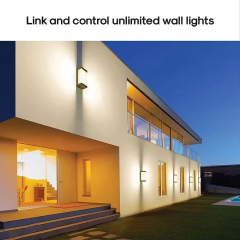 OD-012 Smart RGBWW WiFi Outdoor Wall Light