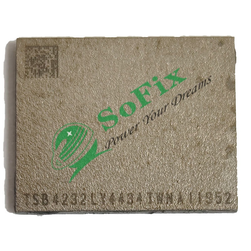 A2141 NAND SSD Chip