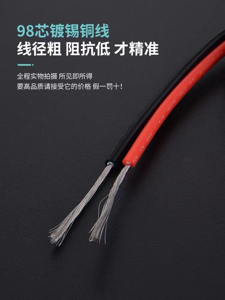 DS-HP20.1 Probe Test Leads