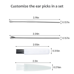 Ear Pick Earwax Removal Kit, Ear Wax Remover Tool with Cleaning Brush and Storage Box, Sliver
