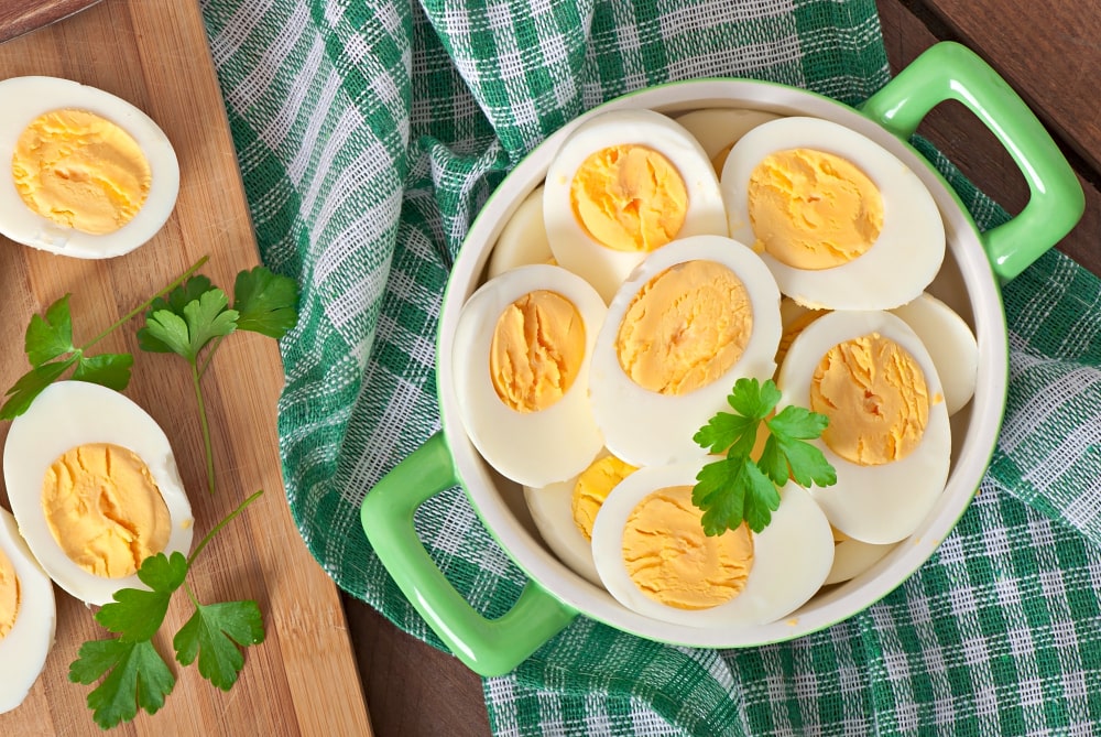 egg