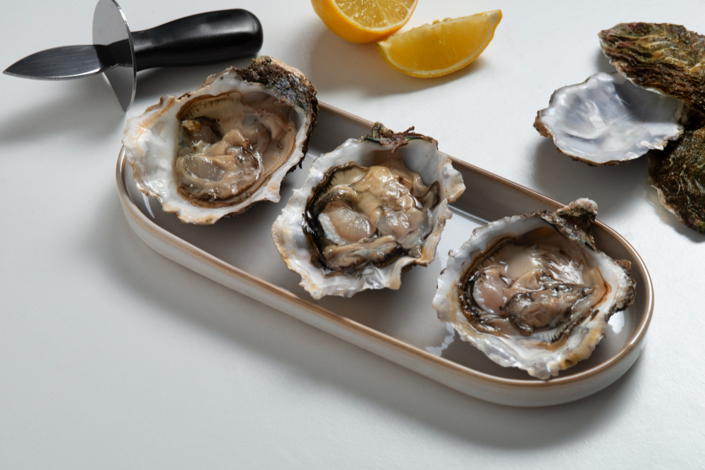 Oysters