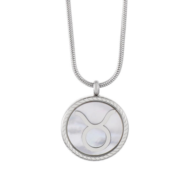 Silver color zodiac pendand stainless steel necklace