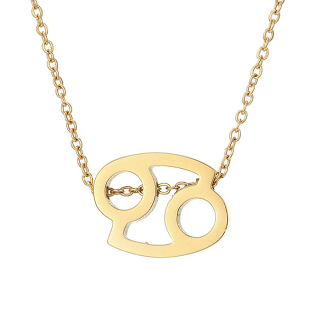 Zodiac Stainless steel dainty necklace