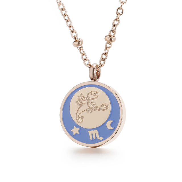 Stainless steel the zodiac pendant necklace