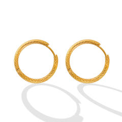 Titanium steel hoop earrings