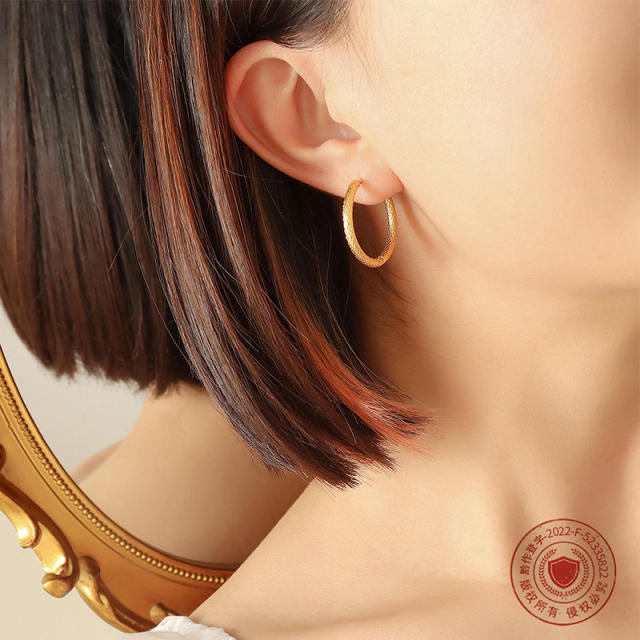 Titanium steel hoop earrings