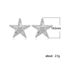 Diamond star ear studs