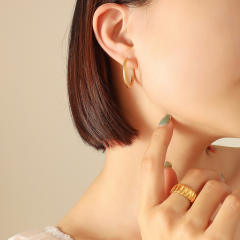 Titanium steel hoop earrings