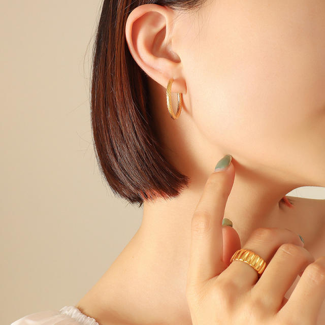 Titanium steel hoop earrings