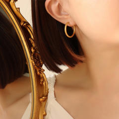 Titanium steel hoop earrings