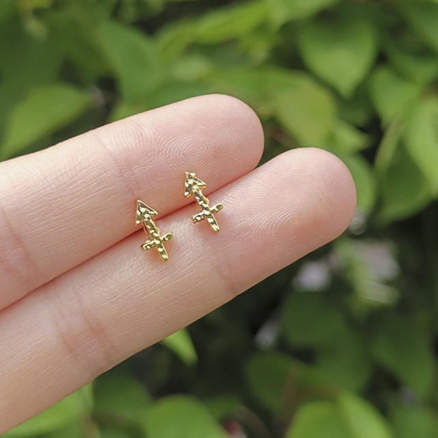 Twelve constellation ear studs