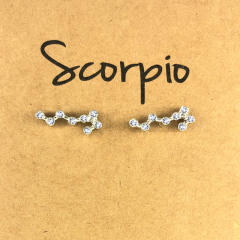 Wish hot sale zodiac ear studs