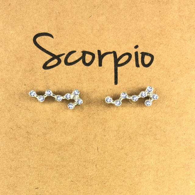 Wish hot sale zodiac ear studs