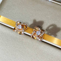 Cubic zircon chic ear studs