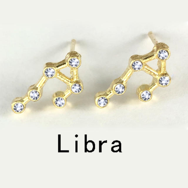 Wish hot sale zodiac ear studs